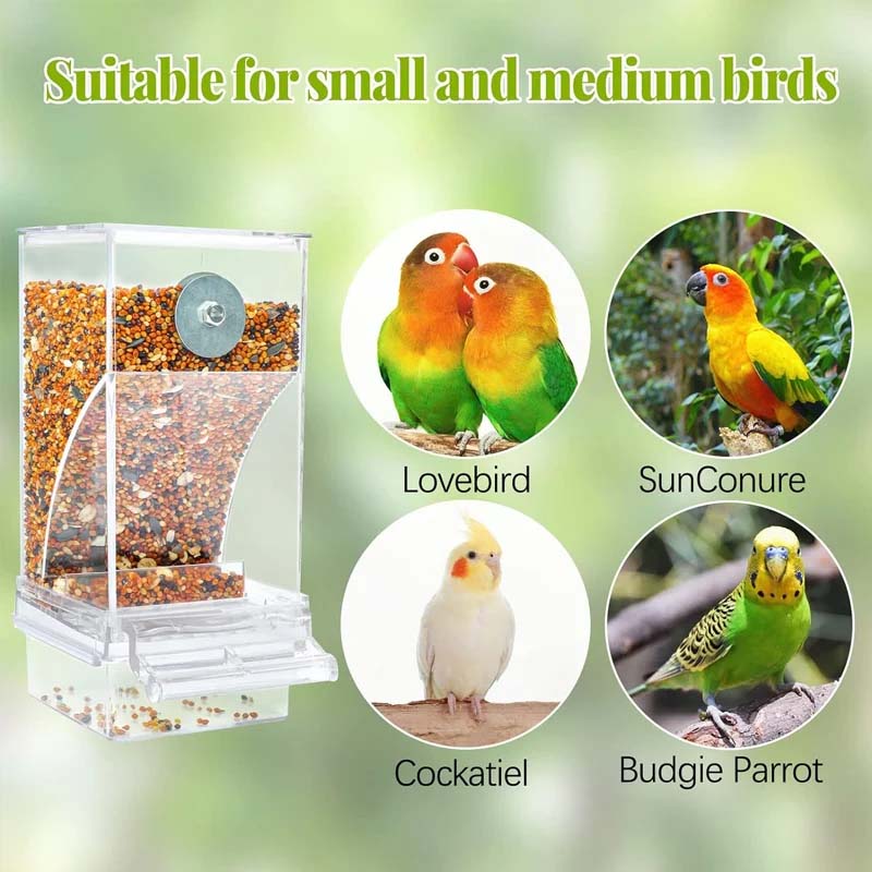 🐦Automatic No-Spill Transparent Bird Feeder