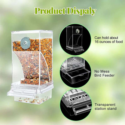 🐦Automatic No-Spill Transparent Bird Feeder