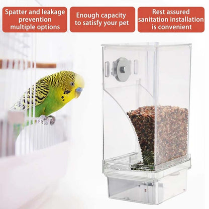 🐦Automatic No-Spill Transparent Bird Feeder