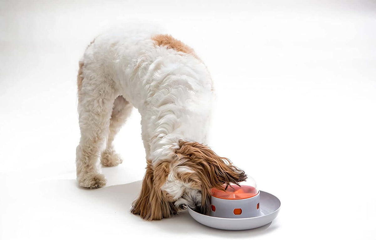 🐕Spaceship Slow Feeder🍄
