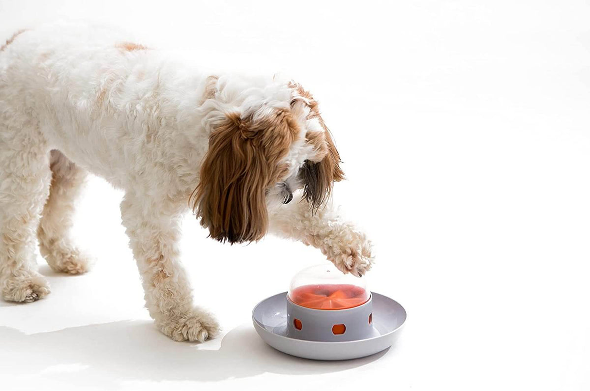 🐕Spaceship Slow Feeder🍄